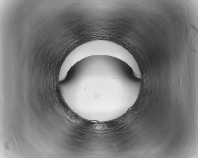 X0000099400275200805291216