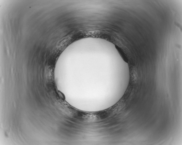 X0000099400276200805291216