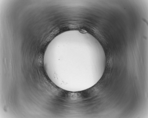 X0000099400277200805291216