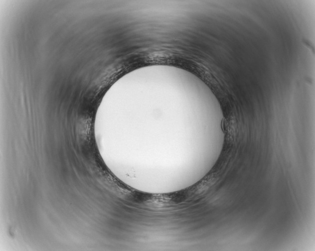 X0000099400278200805291216