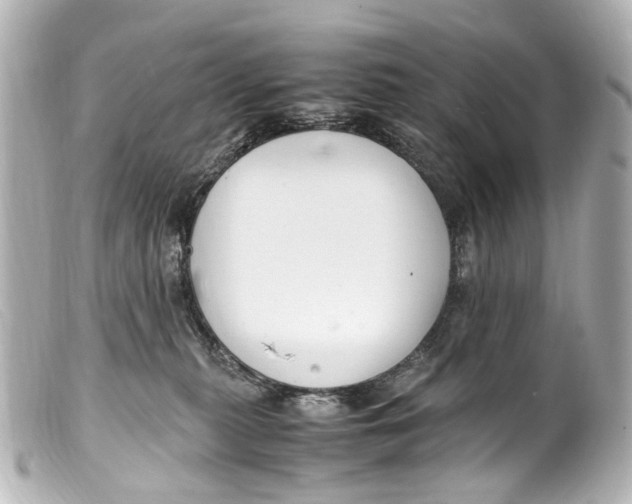 X0000099400279200805291216