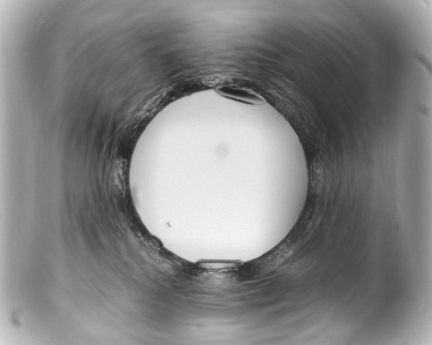 X0000099400280200805291216
