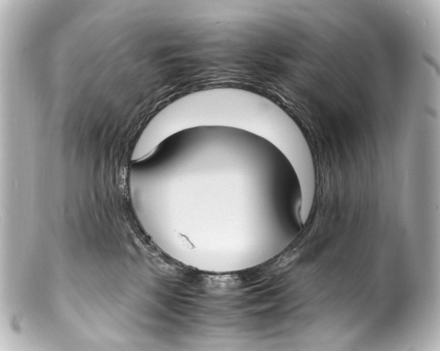 X0000099400281200805291216