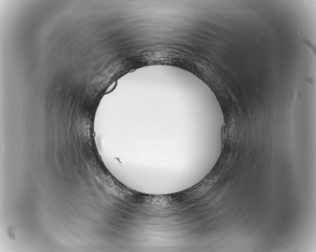 X0000099400282200805291216