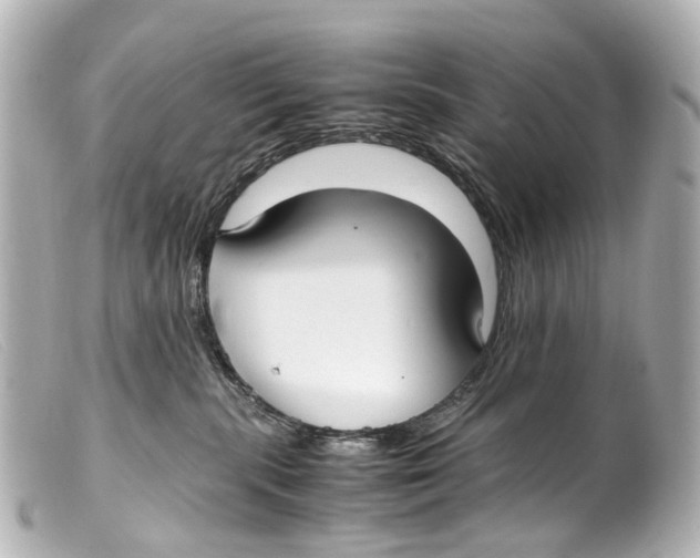 X0000099400283200805291216