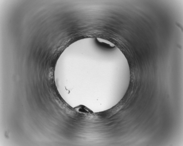 X0000099400284200805291216