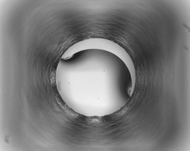 X0000099400285200805291216