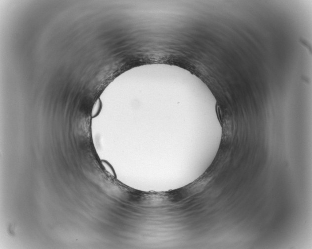 X0000099400286200805291216