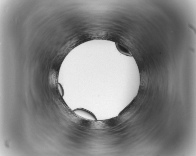 X0000099400287200805291216