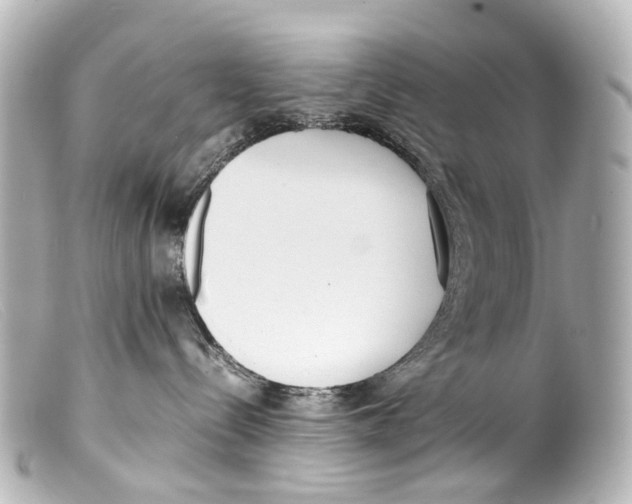 X0000099400288200805291216