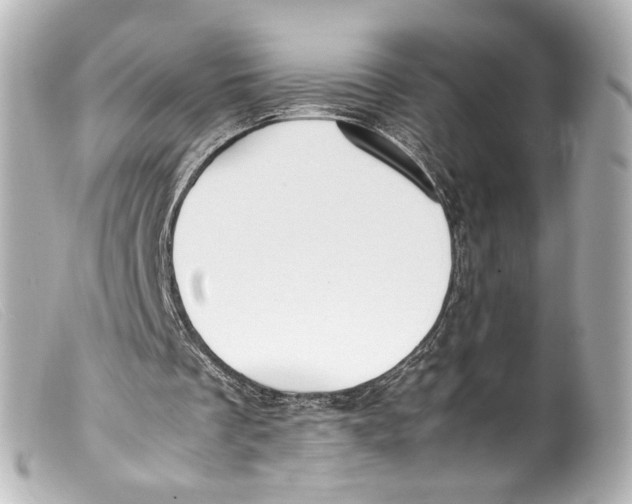 X0000099400289200805291216