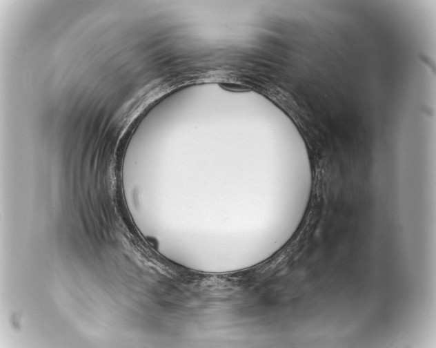 X0000099400290200805291216