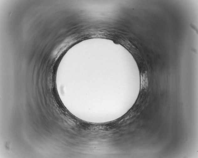 X0000099400291200805291216