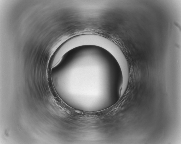 X0000099400292200805291216