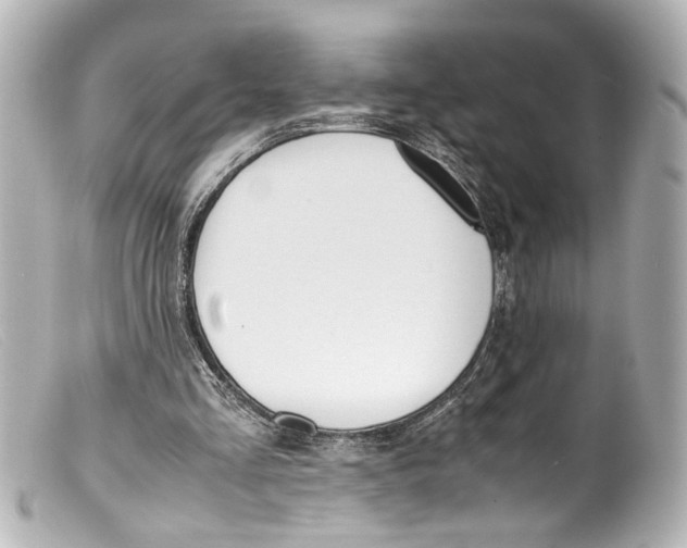 X0000099400293200805291216