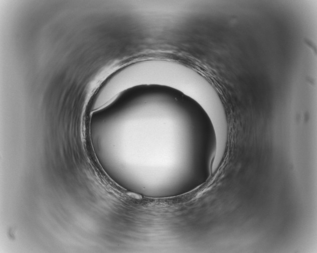 X0000099400294200805291216