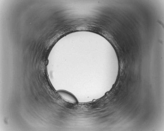 X0000099400297200805291216