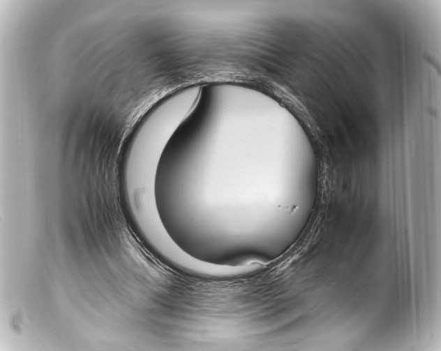 X0000099400298200805291216