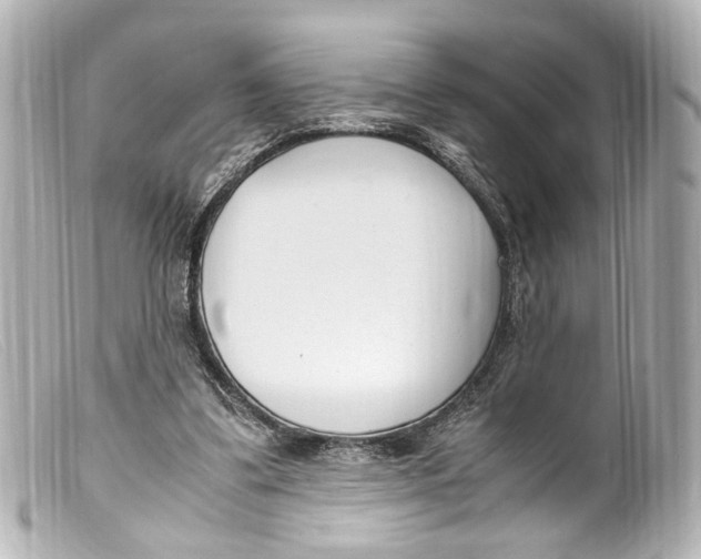 X0000099400299200805291216