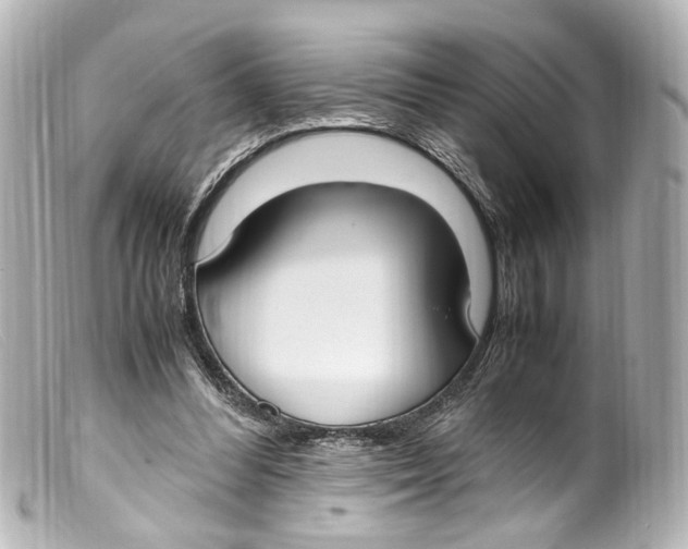 X0000099400300200805291216