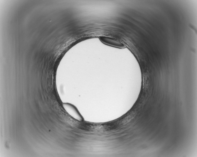 X0000099400301200805291216