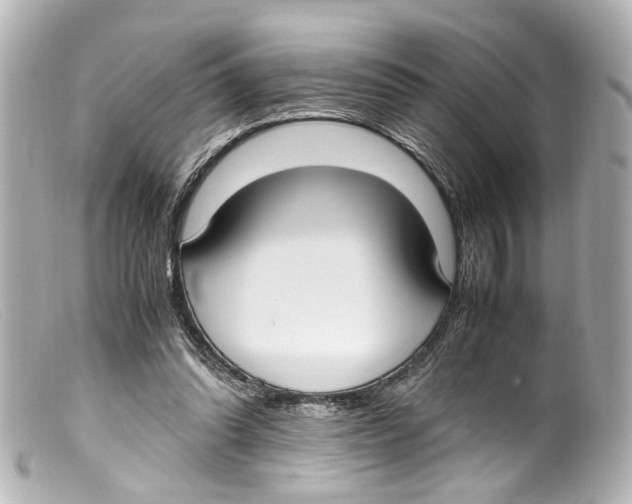 X0000099400302200805291216