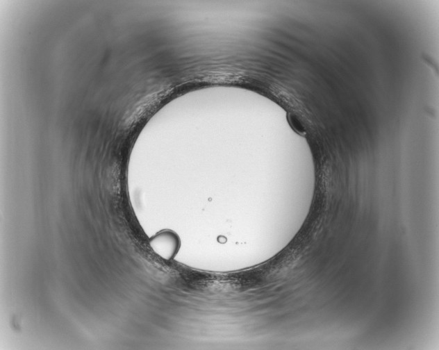 X0000099400303200805291216