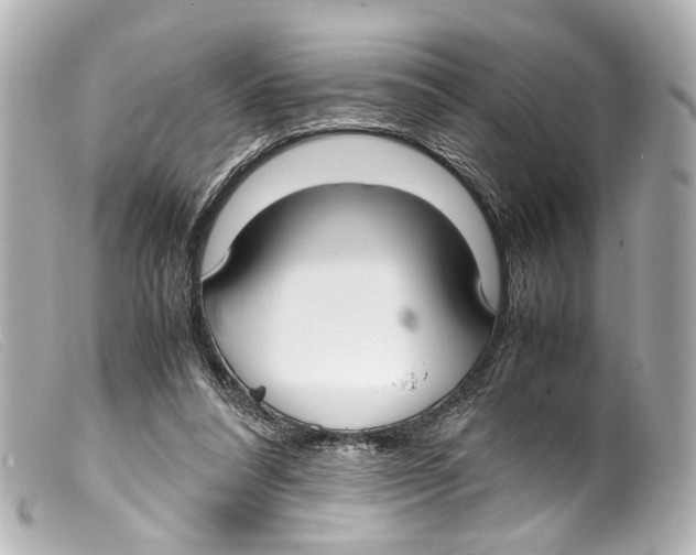 X0000099400304200805291215