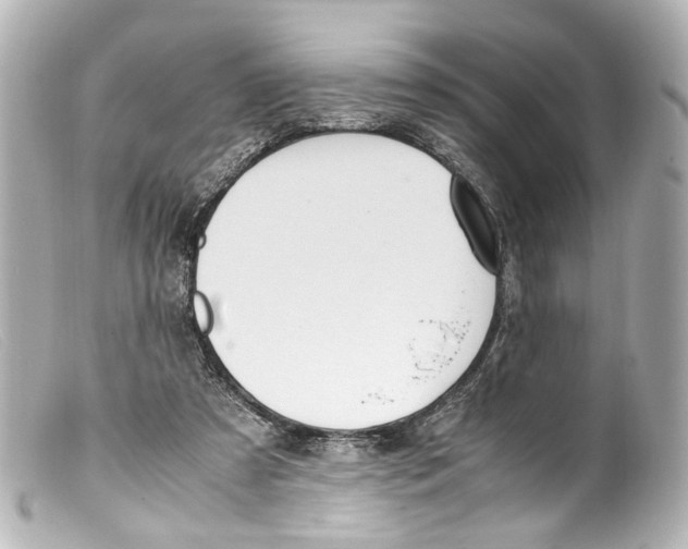 X0000099400305200805291215