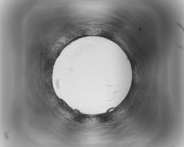 X0000099400307200805291215