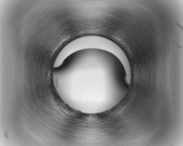 X0000099400308200805291215