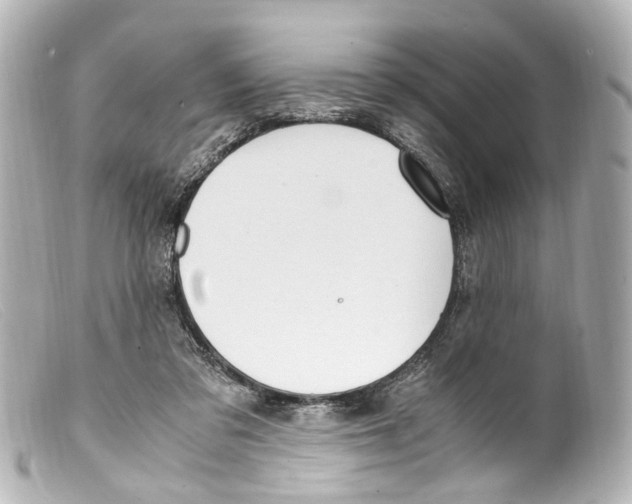 X0000099400309200805291215