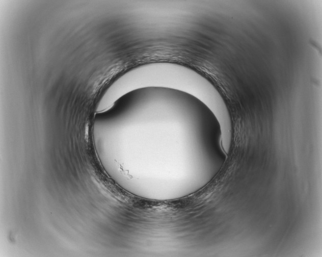 X0000099400310200805291215