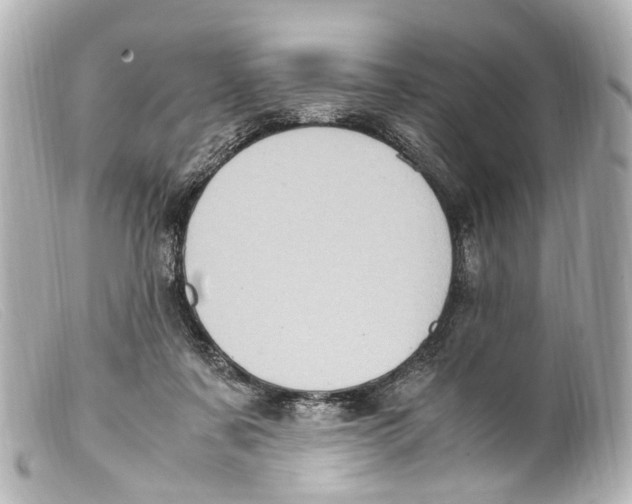 X0000099400311200805291215