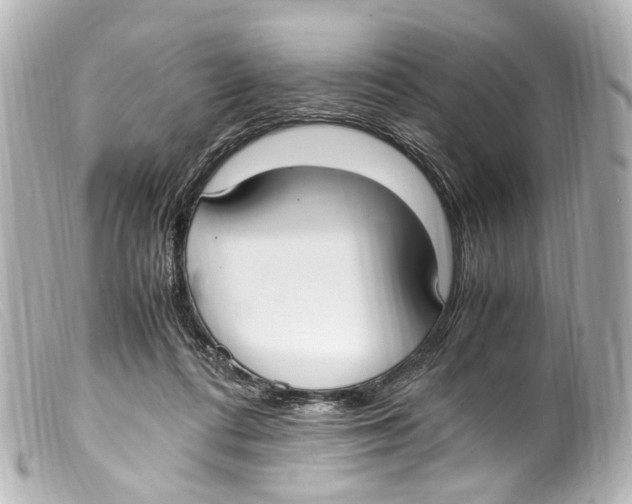 X0000099400312200805291215