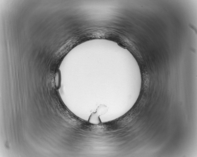 X0000099400313200805291215