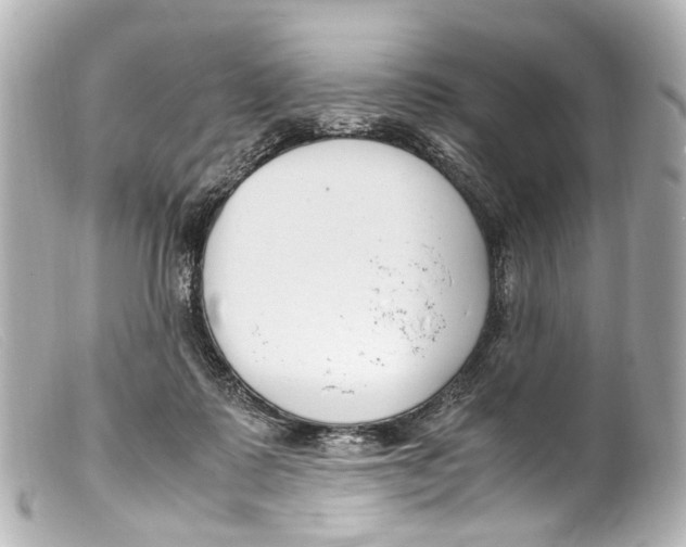 X0000099400315200805291215