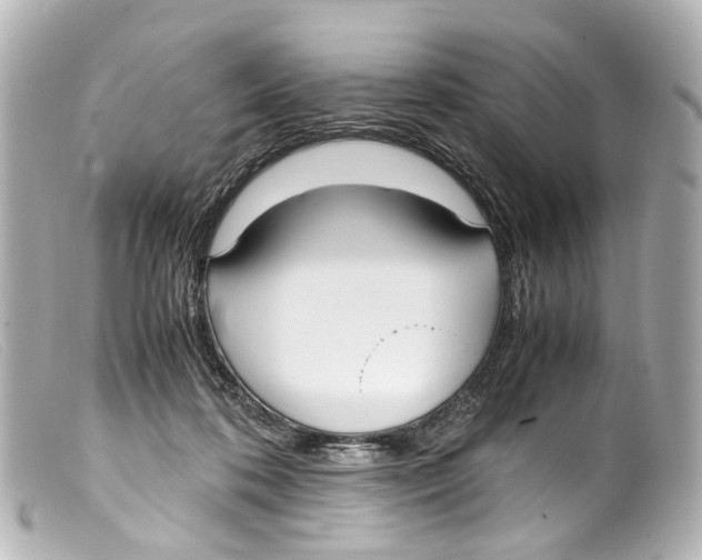 X0000099400316200805291215