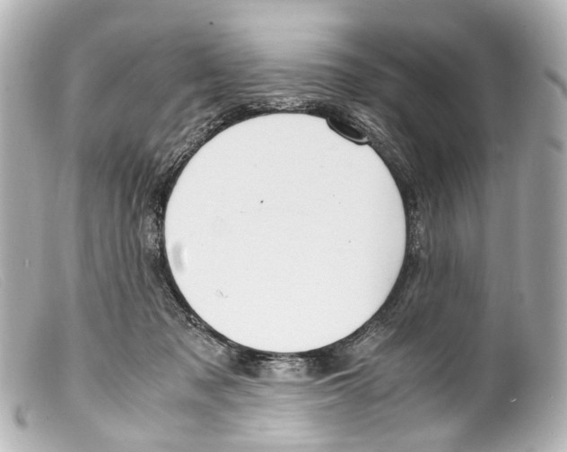 X0000099400317200805291215