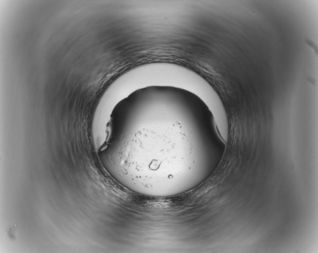 X0000099400318200805291215