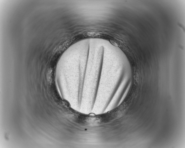 X0000099400319200805291215