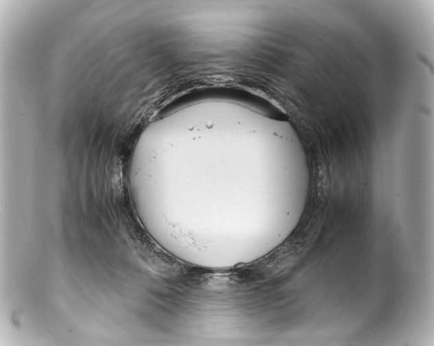 X0000099400320200805291215