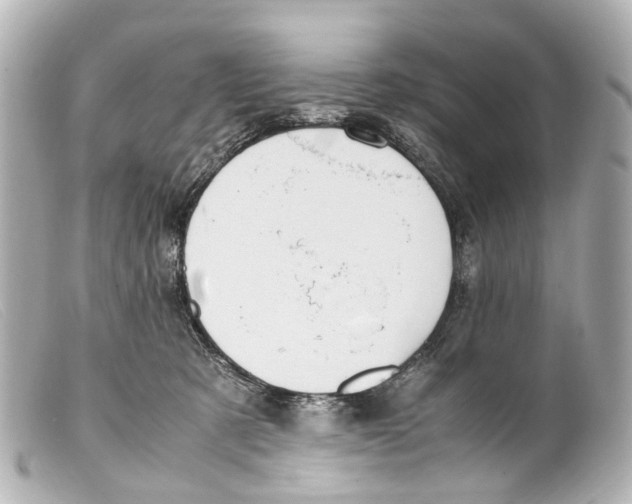 X0000099400321200805291215