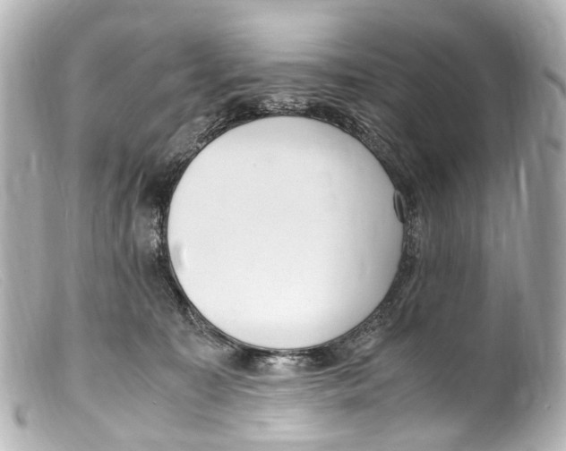 X0000099400323200805291215