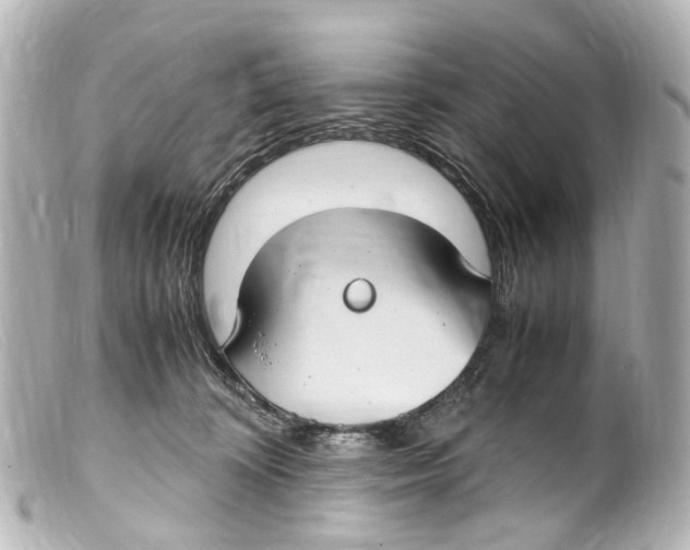 X0000099400324200805291215