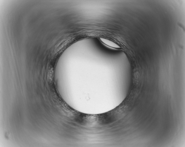 X0000099400325200805291215