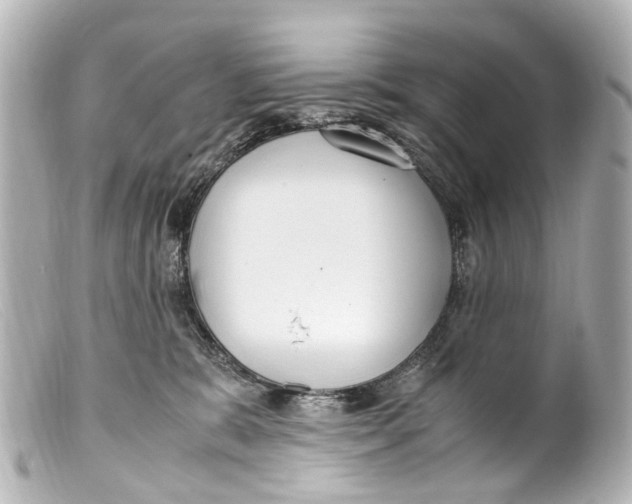 X0000099400327200805291215