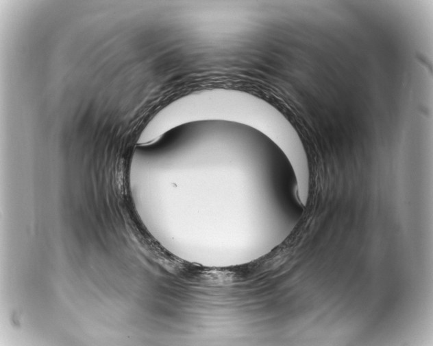 X0000099400328200805291215