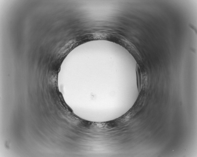 X0000099400329200805291215