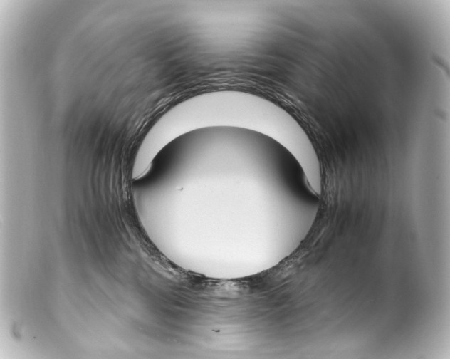 X0000099400330200805291215